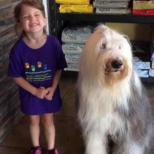 Meet your Posher, Jd